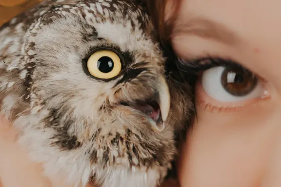 קזינו ולקאם בינגו תמיכה